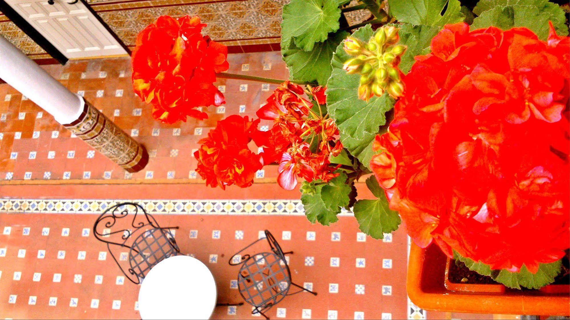 Al Andalus Jerez Hotel Jerez de la Frontera Bagian luar foto